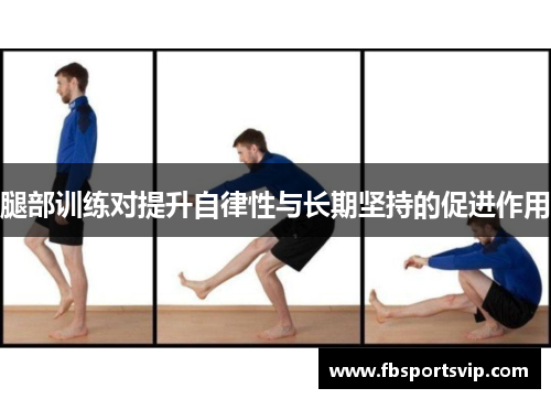 腿部训练对提升自律性与长期坚持的促进作用